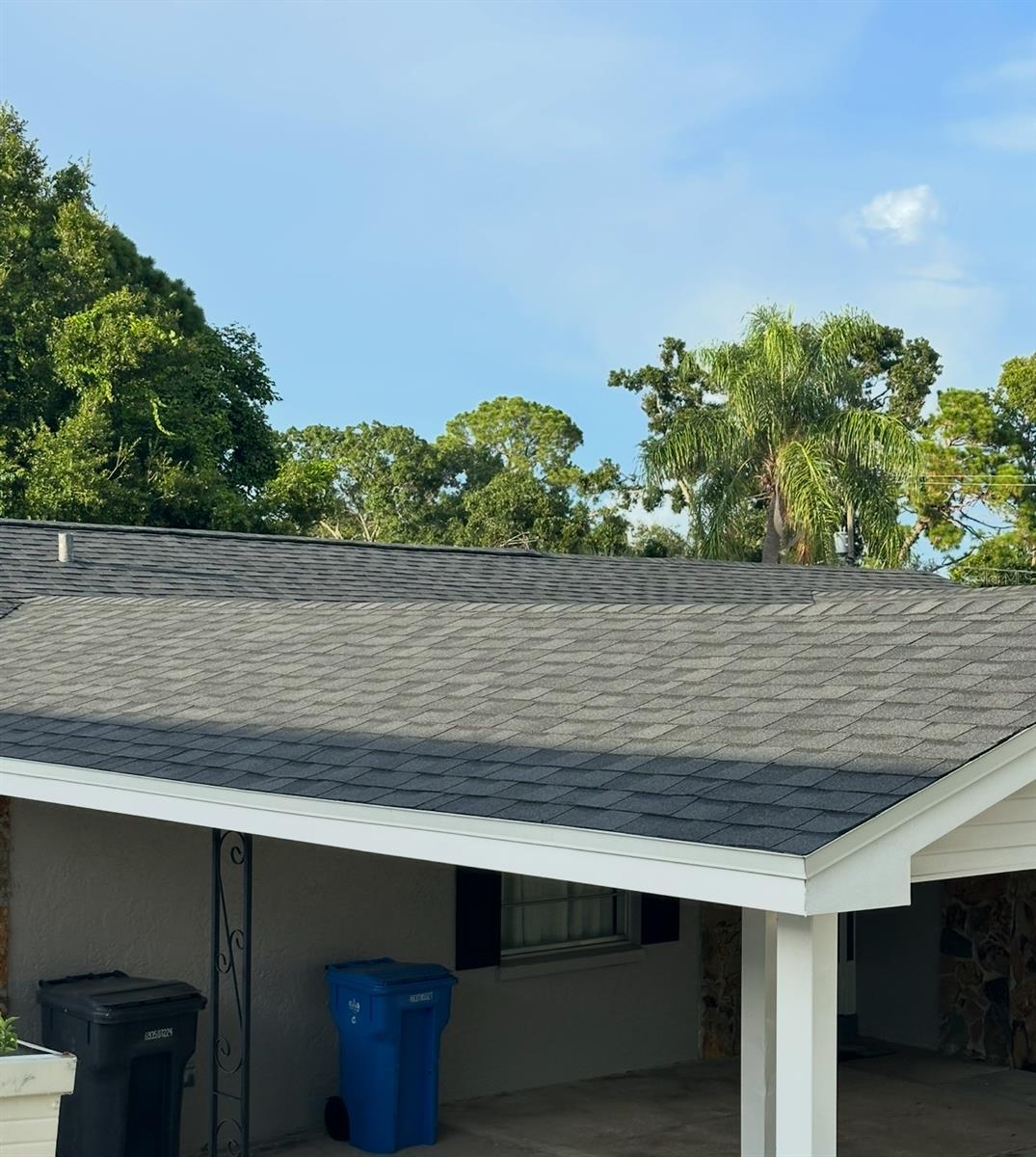 new roof-NE view