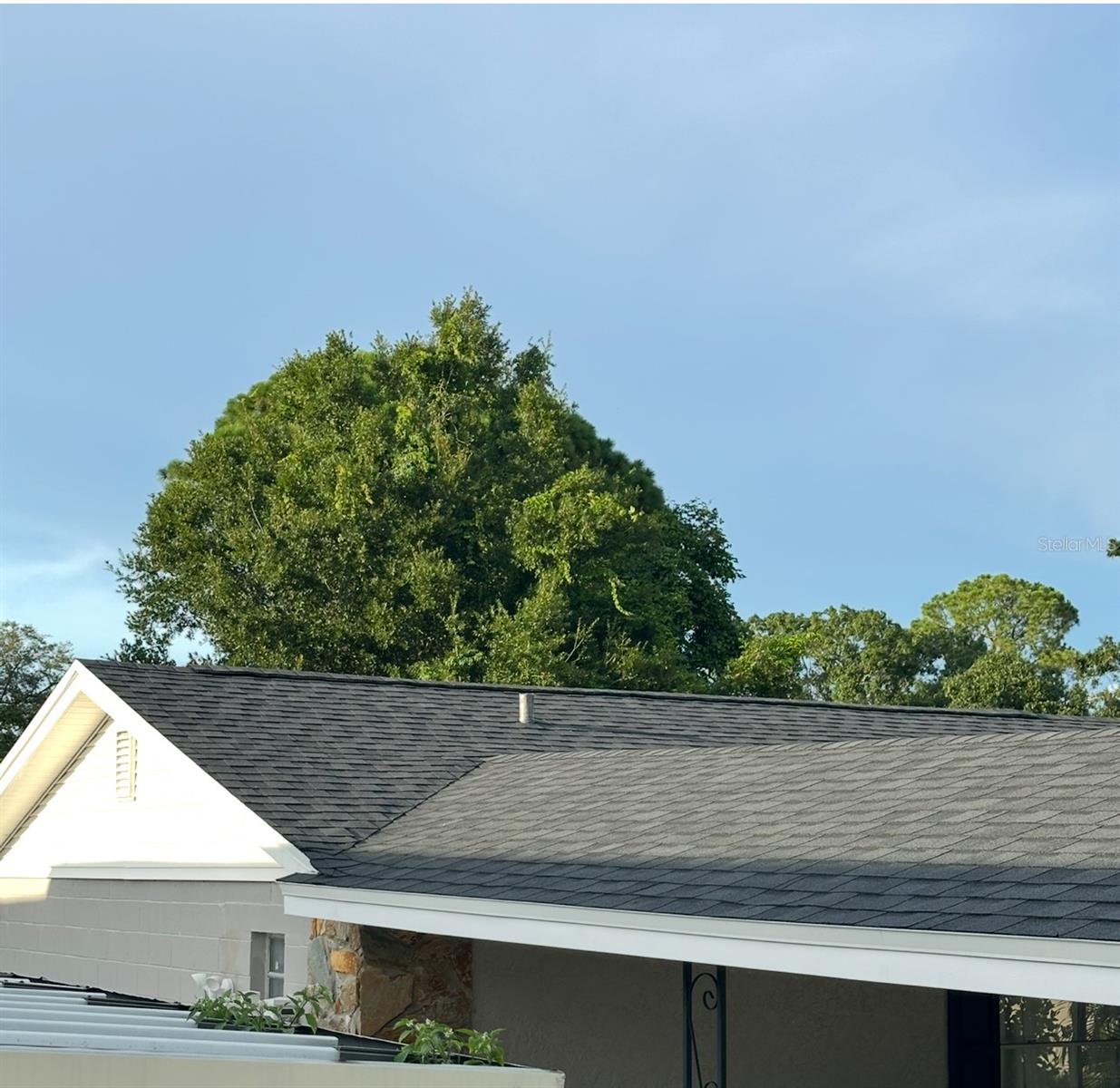 new roof-NE view