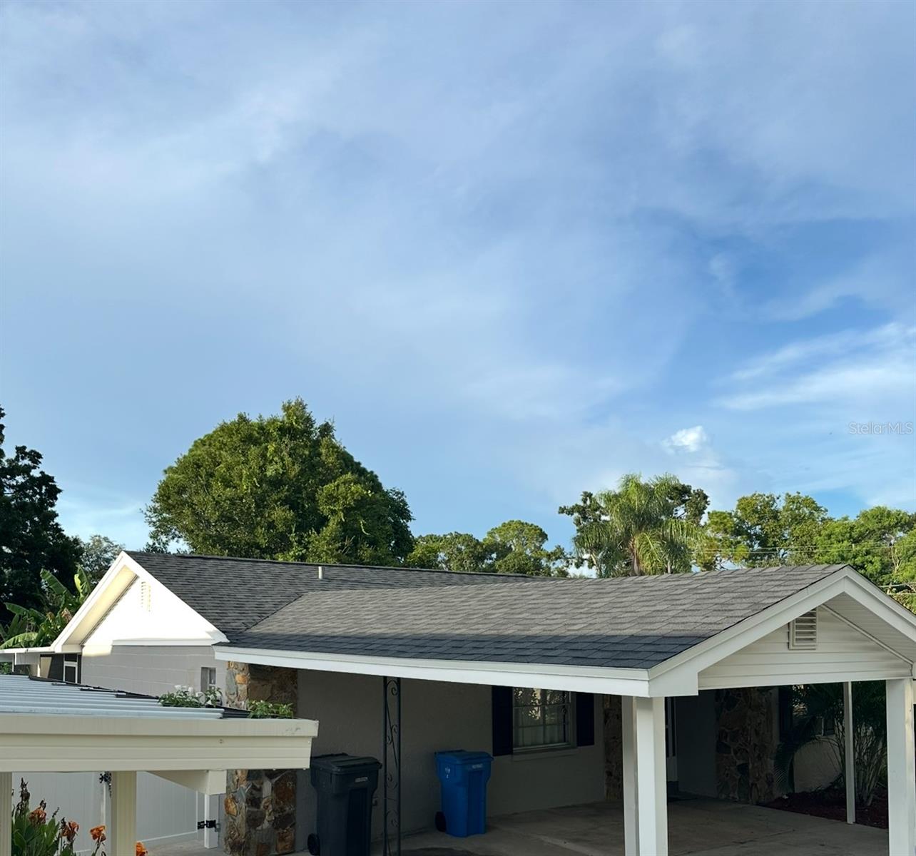 new roof-NE view