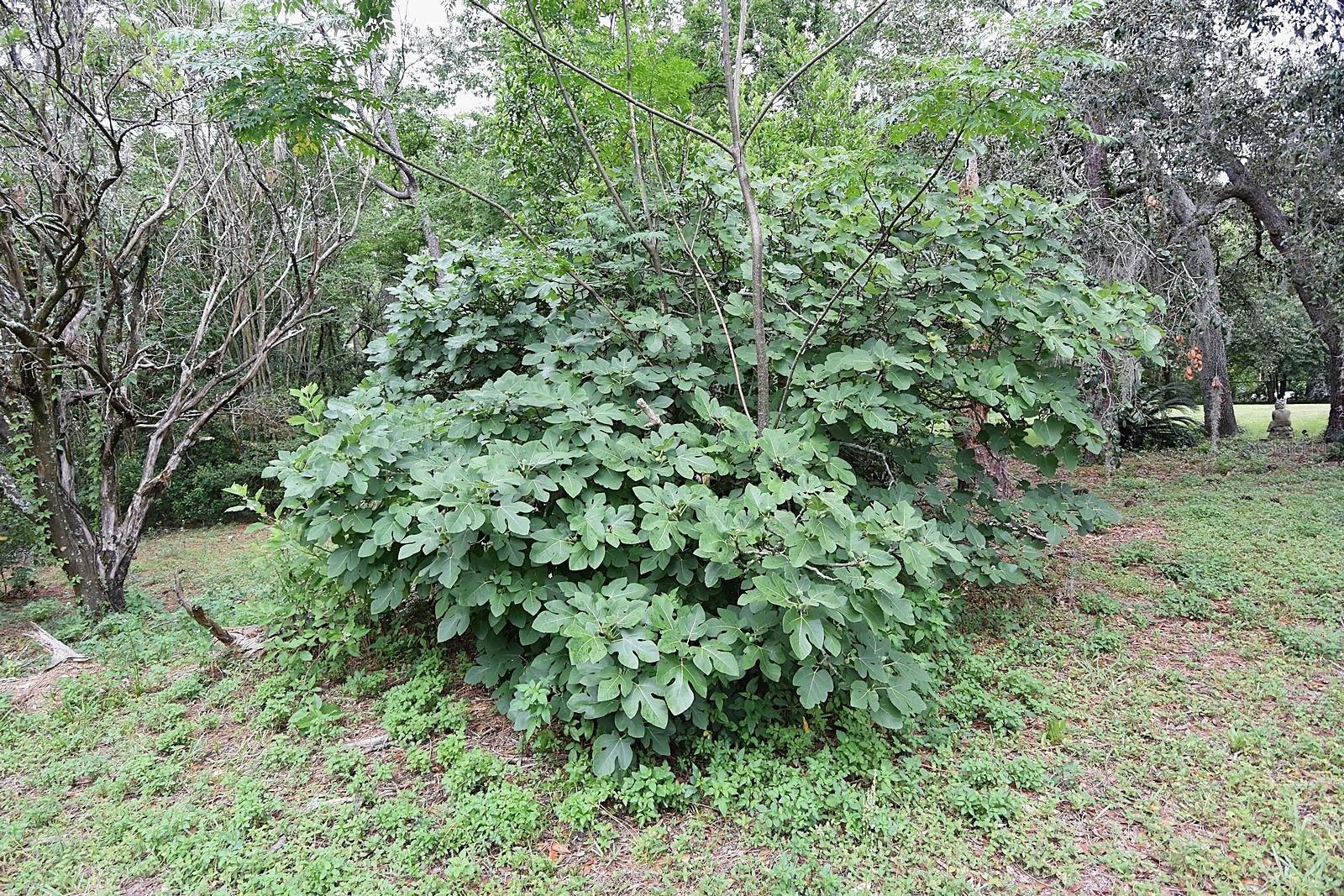 W7876124