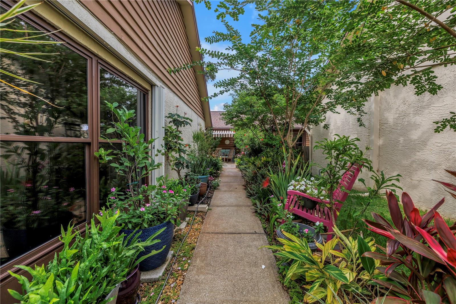 Tropical Landscaping