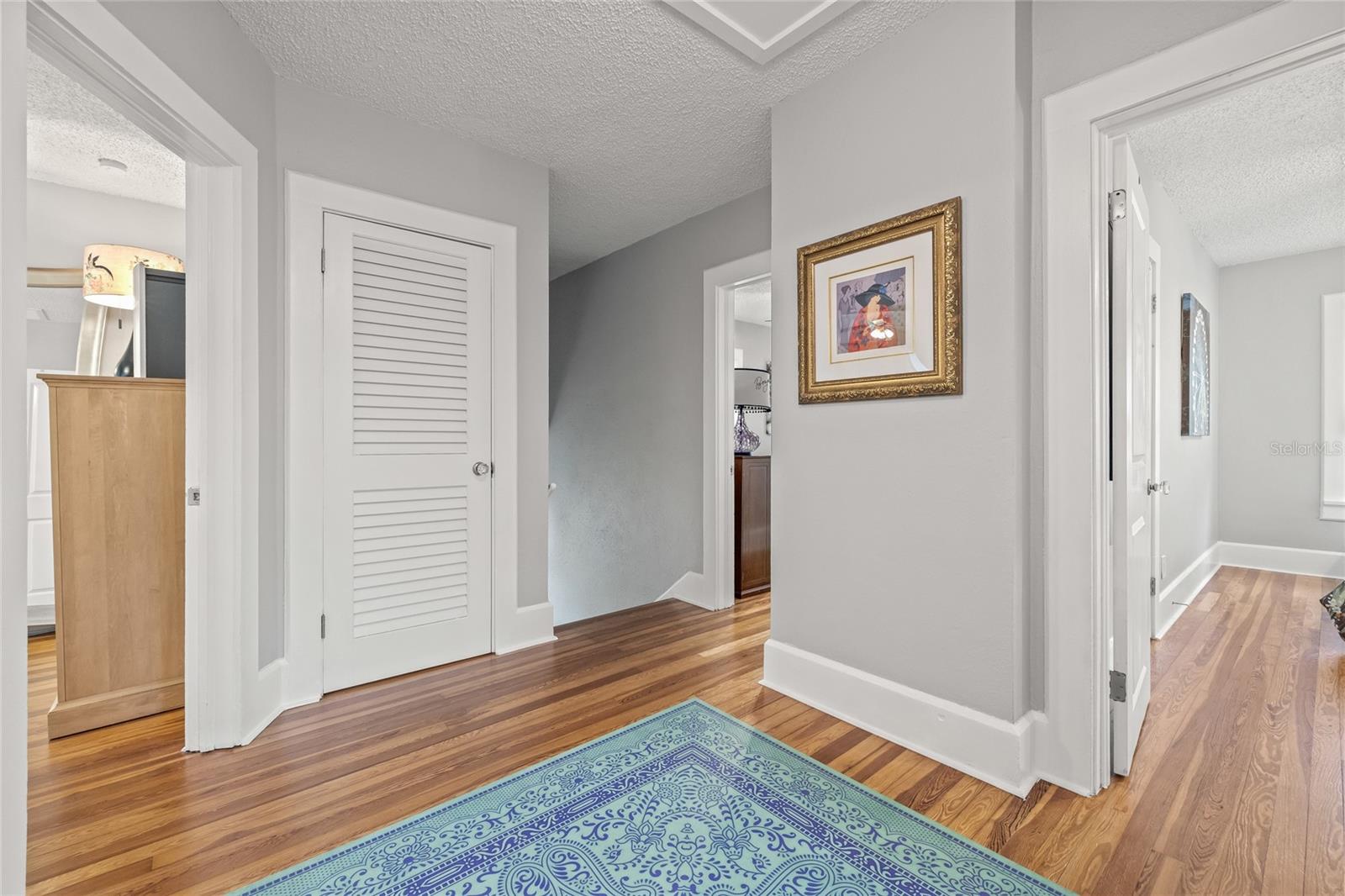 Bright and functional hallway offering easy access to all three bedrooms and additional storage.