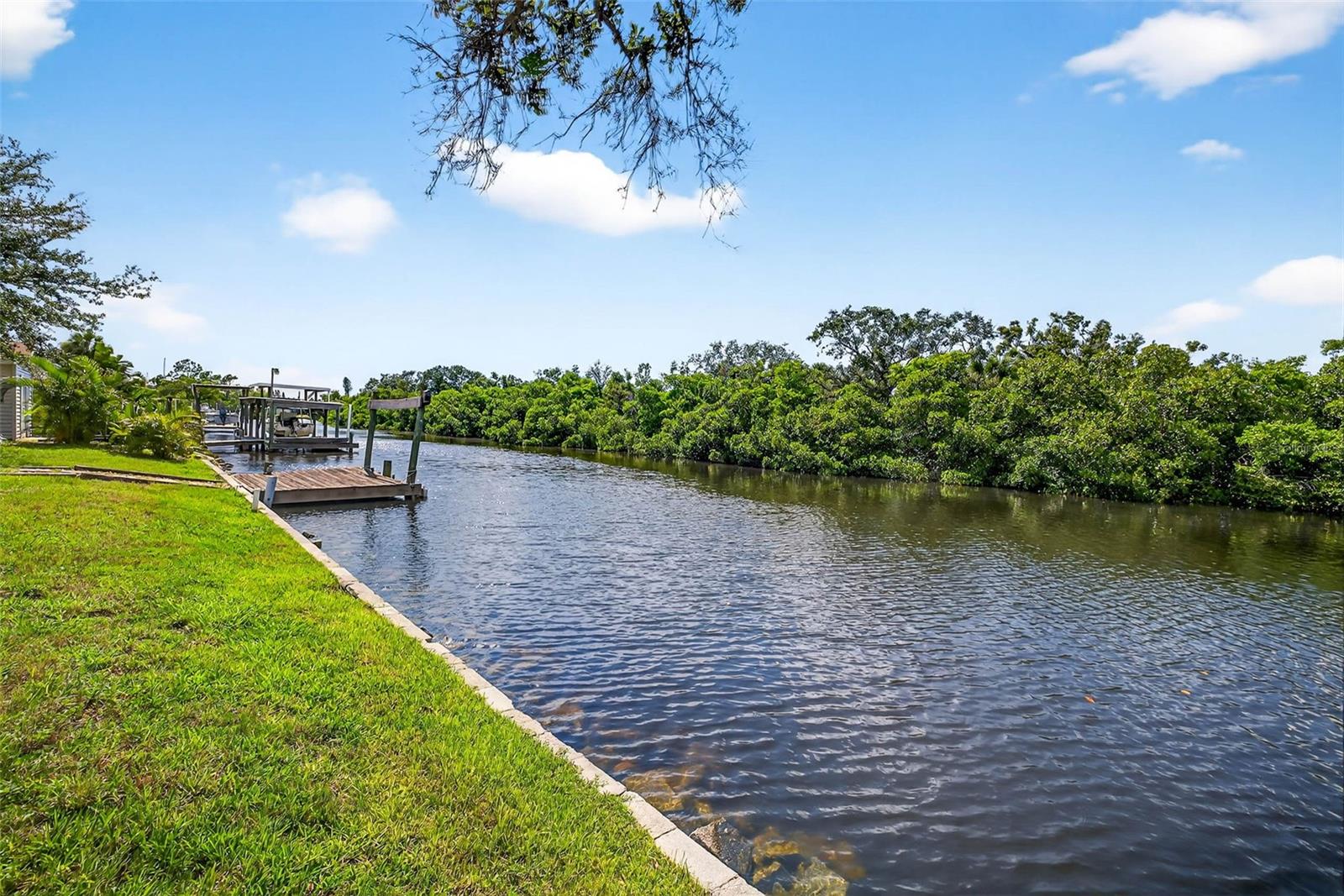 Saltwater canal overlooking mangrove forest