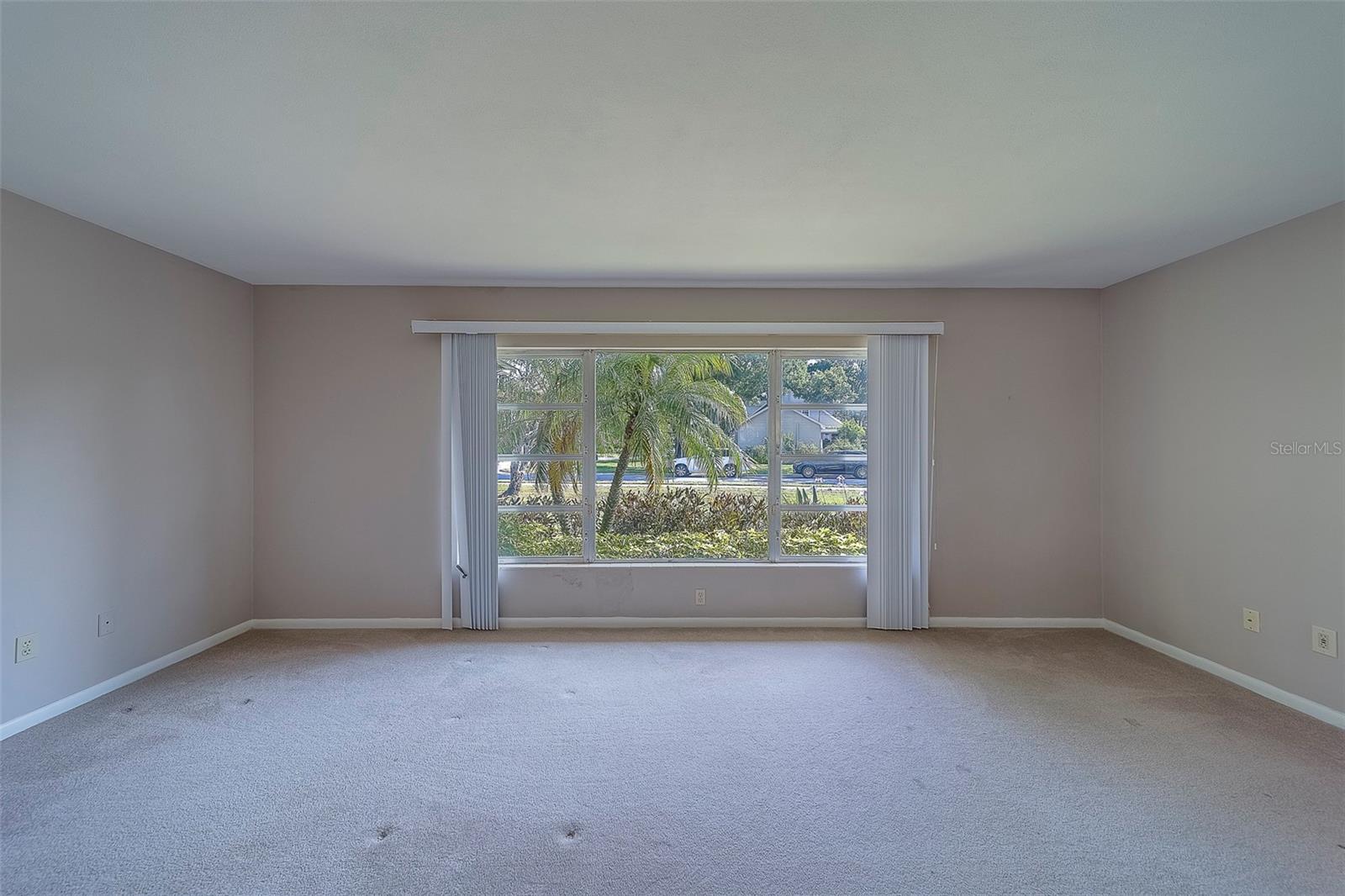 Plenty of Natural Light