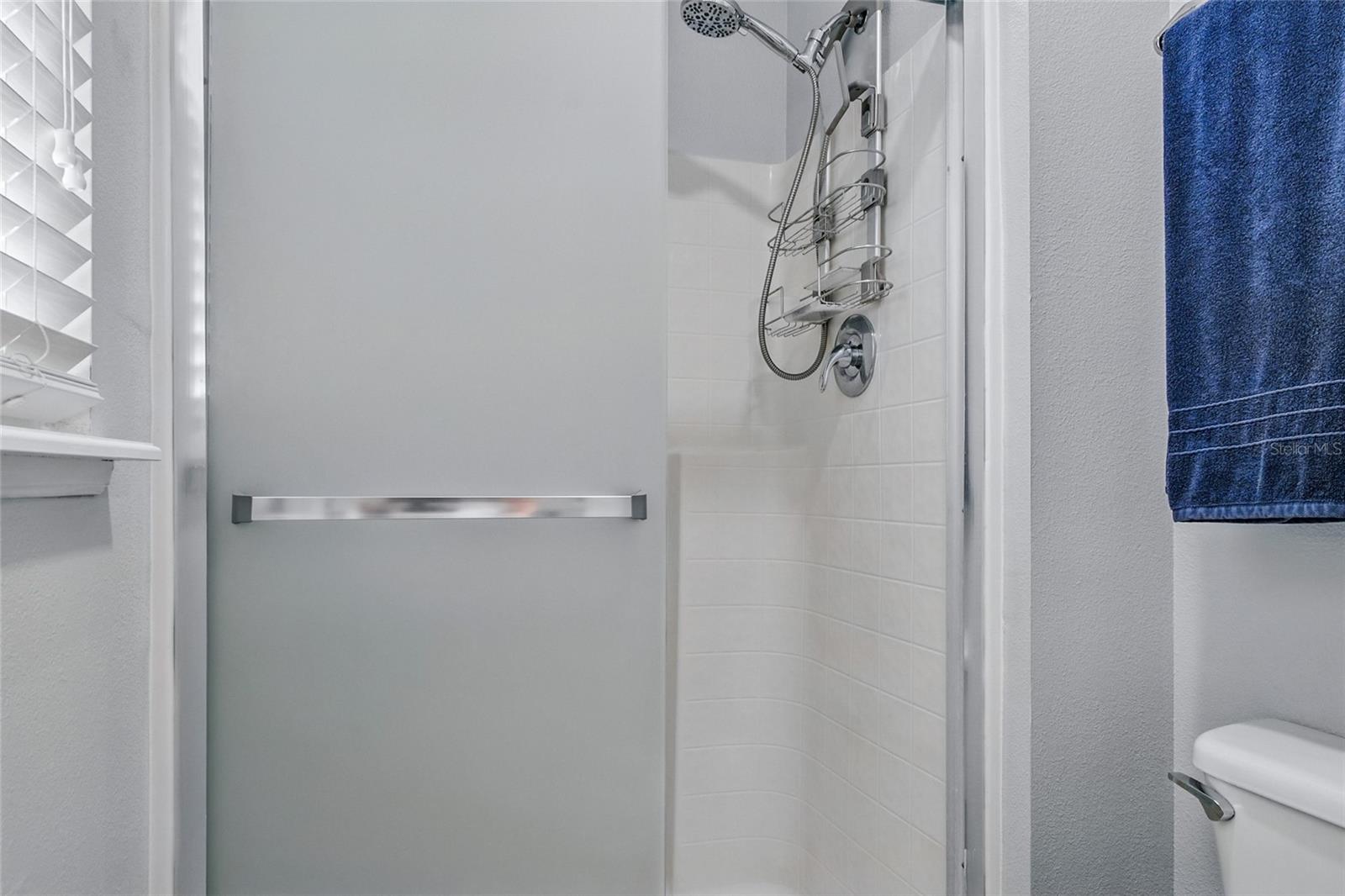 Primary Bath Shower