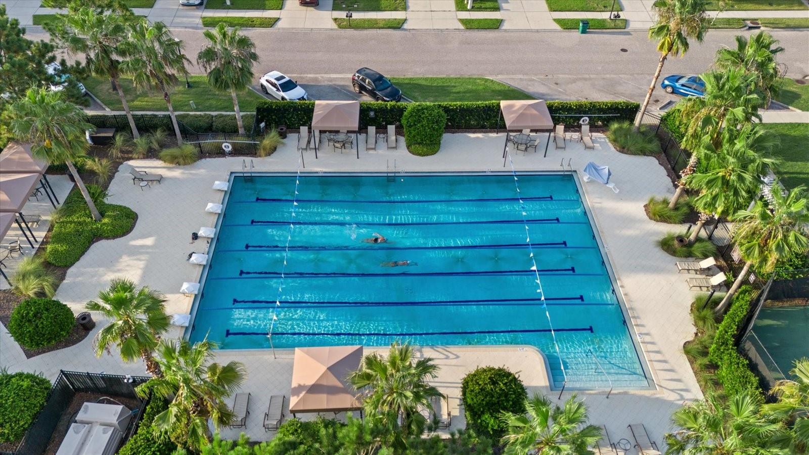 Lap pool