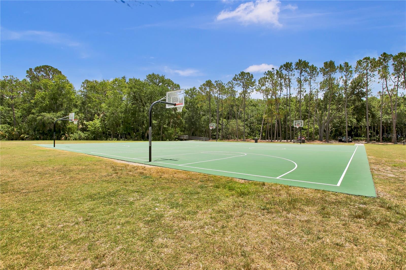 Glencliff Park - Westchase