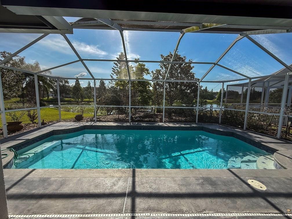 Pool & Backyard
