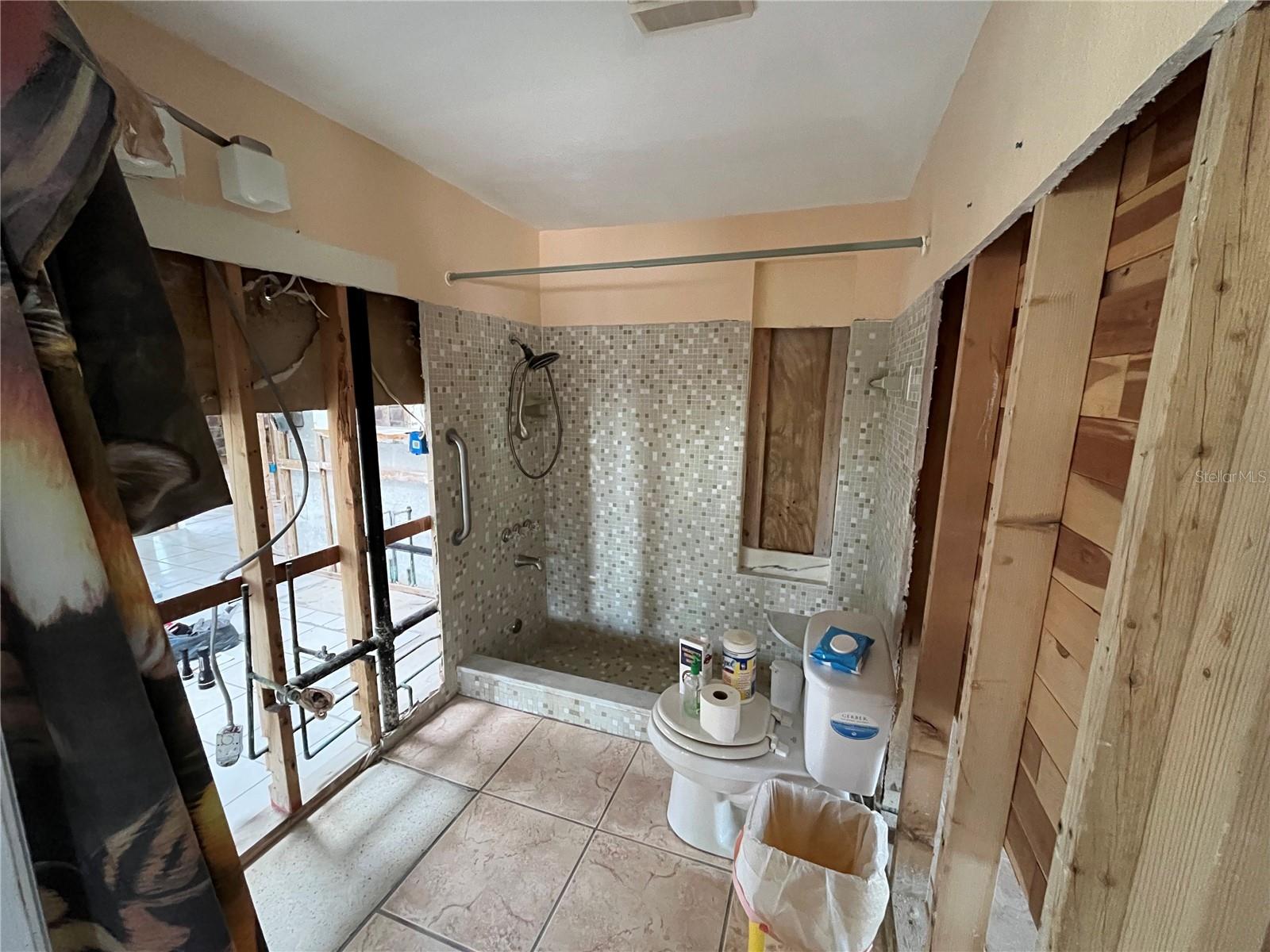 Hall bathroom