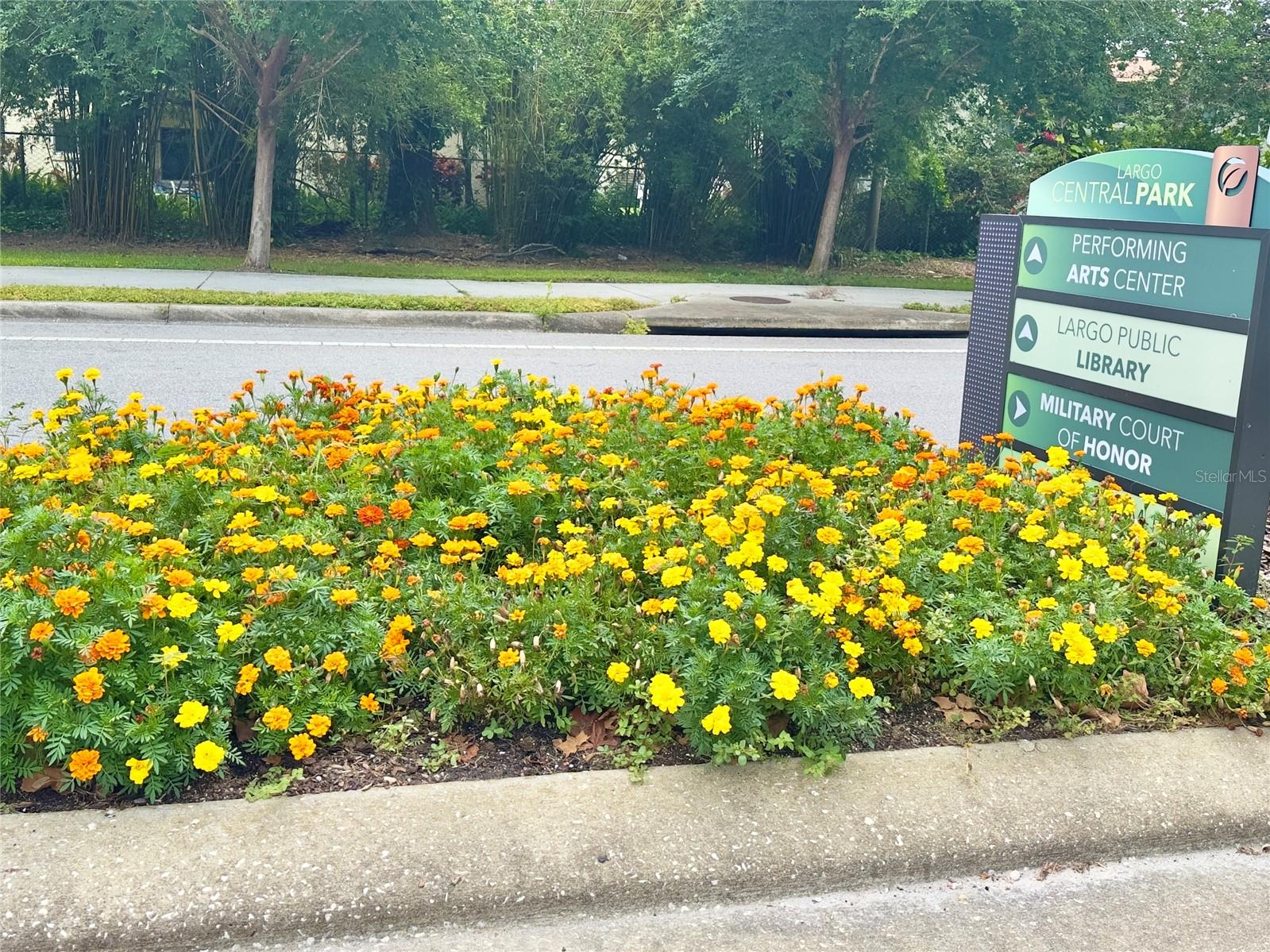 Largo Central Park
