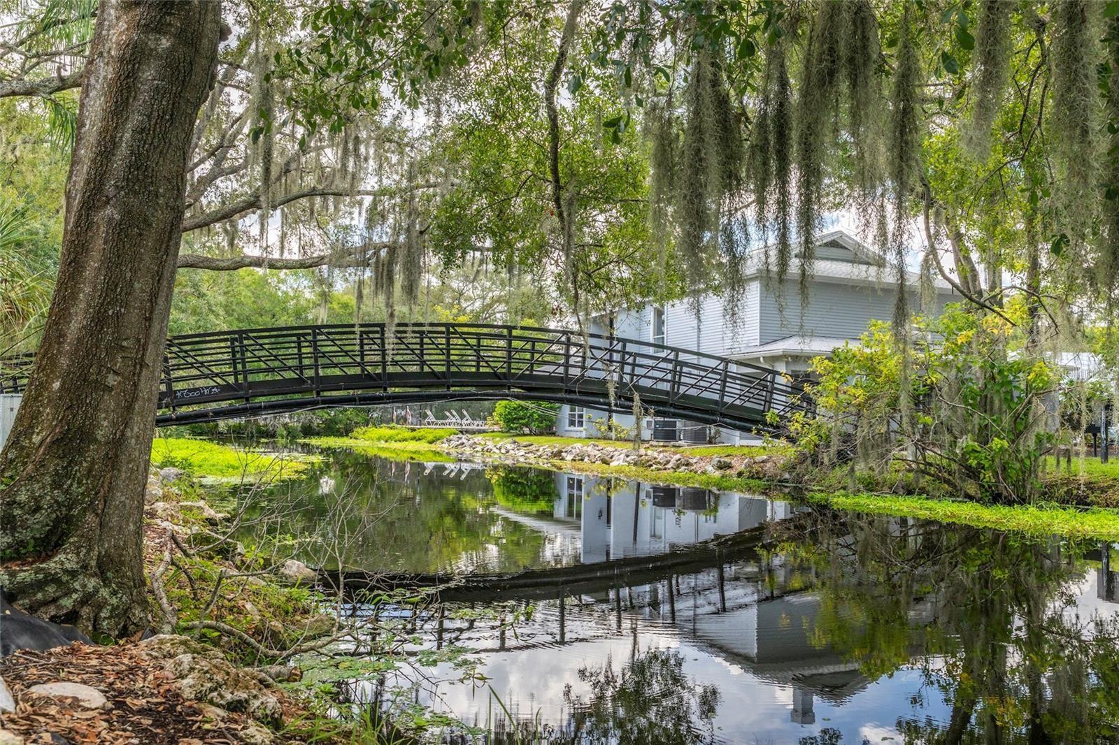 bridge over water
