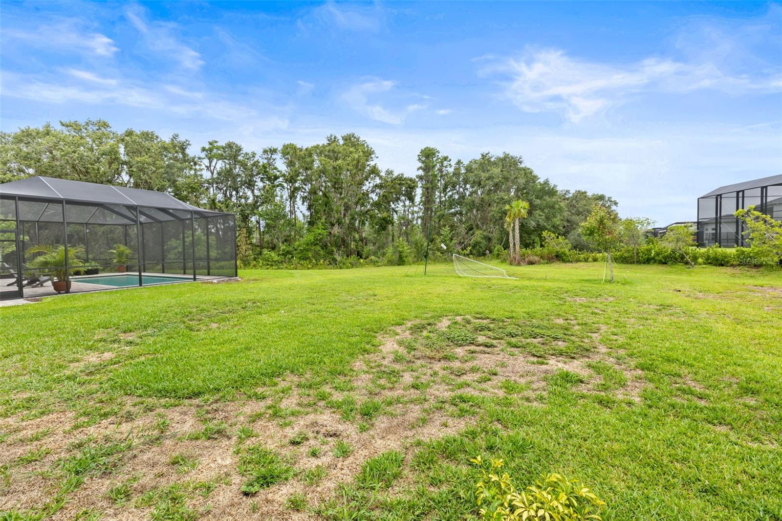 Private yard overlooking conservation
