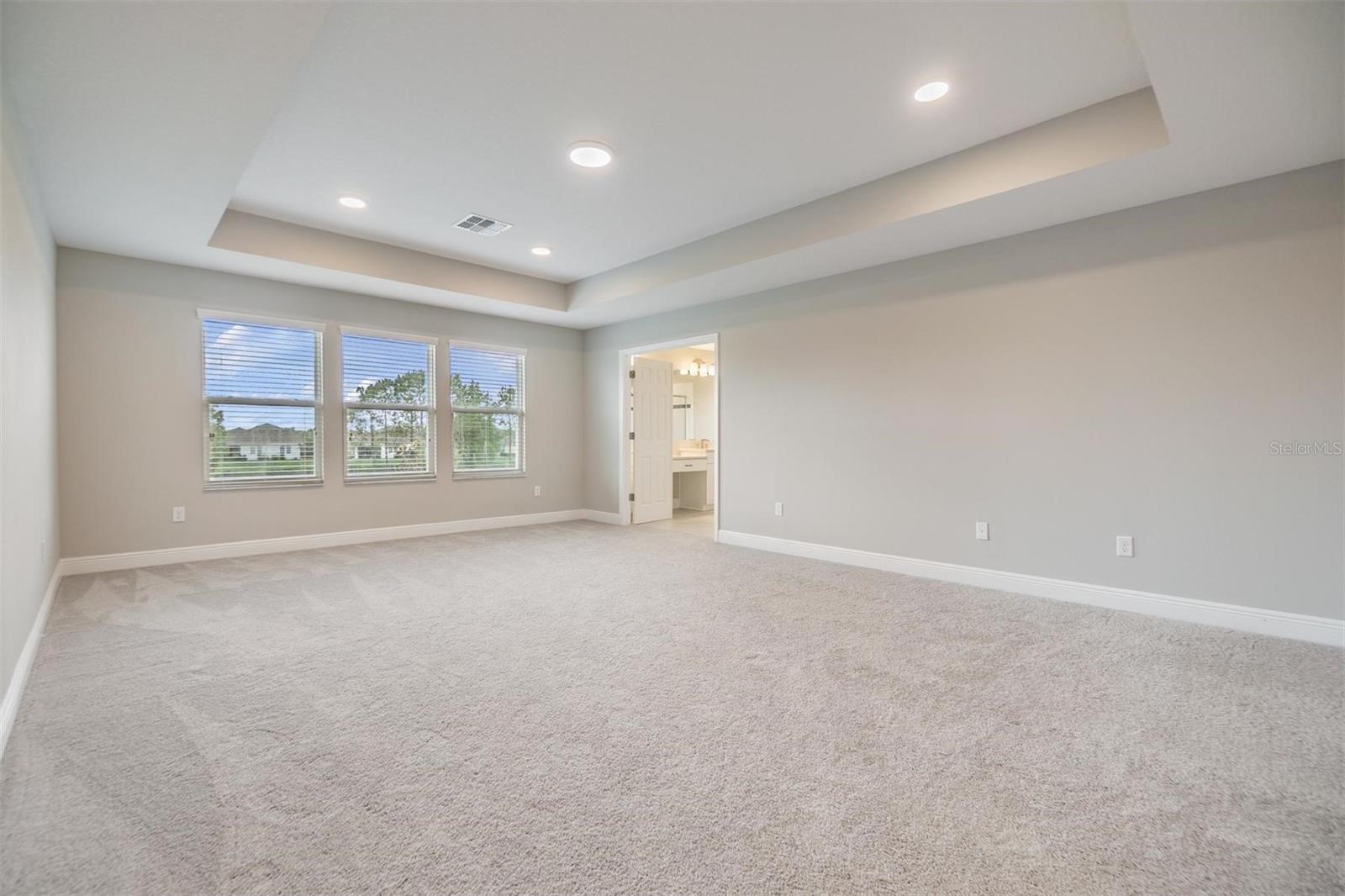 Huge Primary Suite