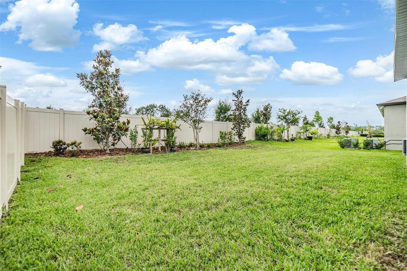 Huge Back Yard