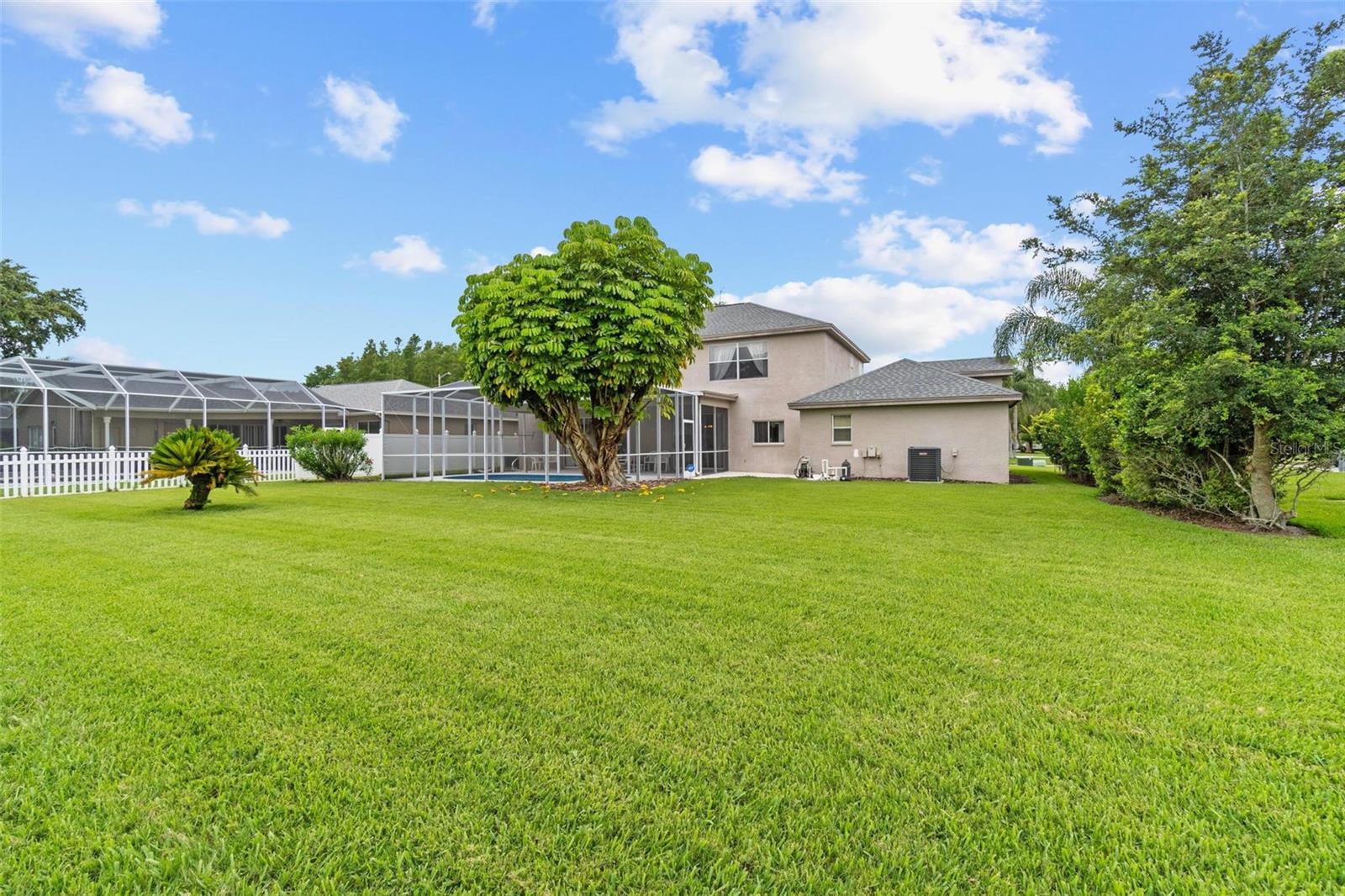 Huge backyard!