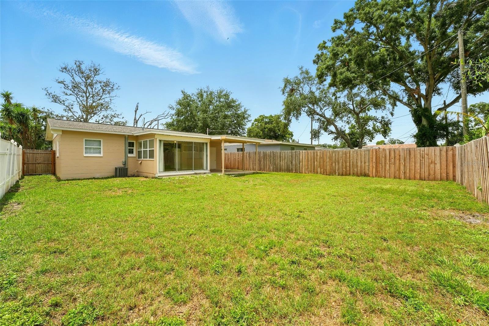 Backyard