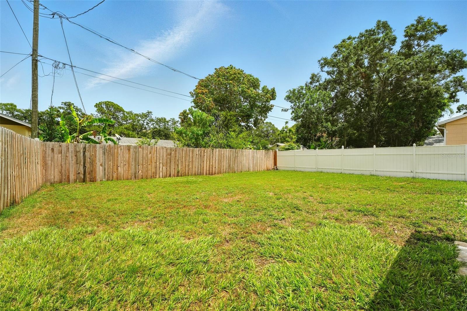 Backyard
