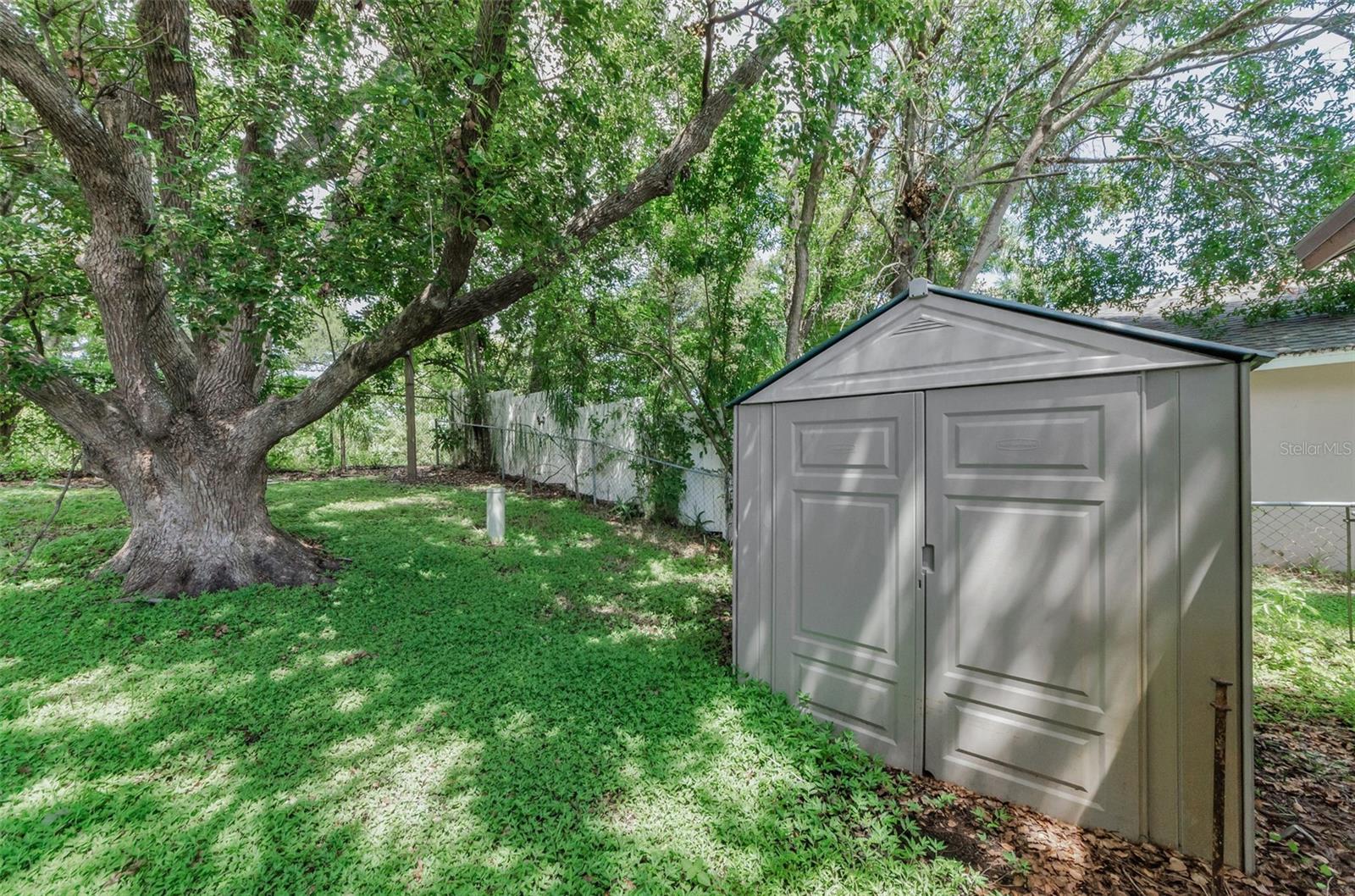 Shed for extra storage