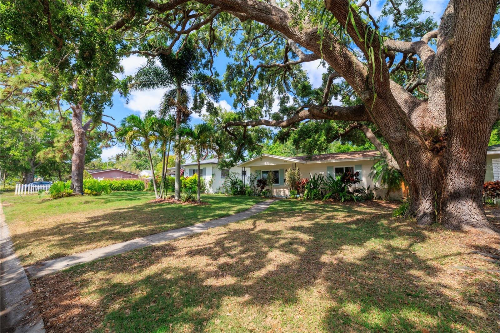 Enjoy shade from the gorgeous oak tree