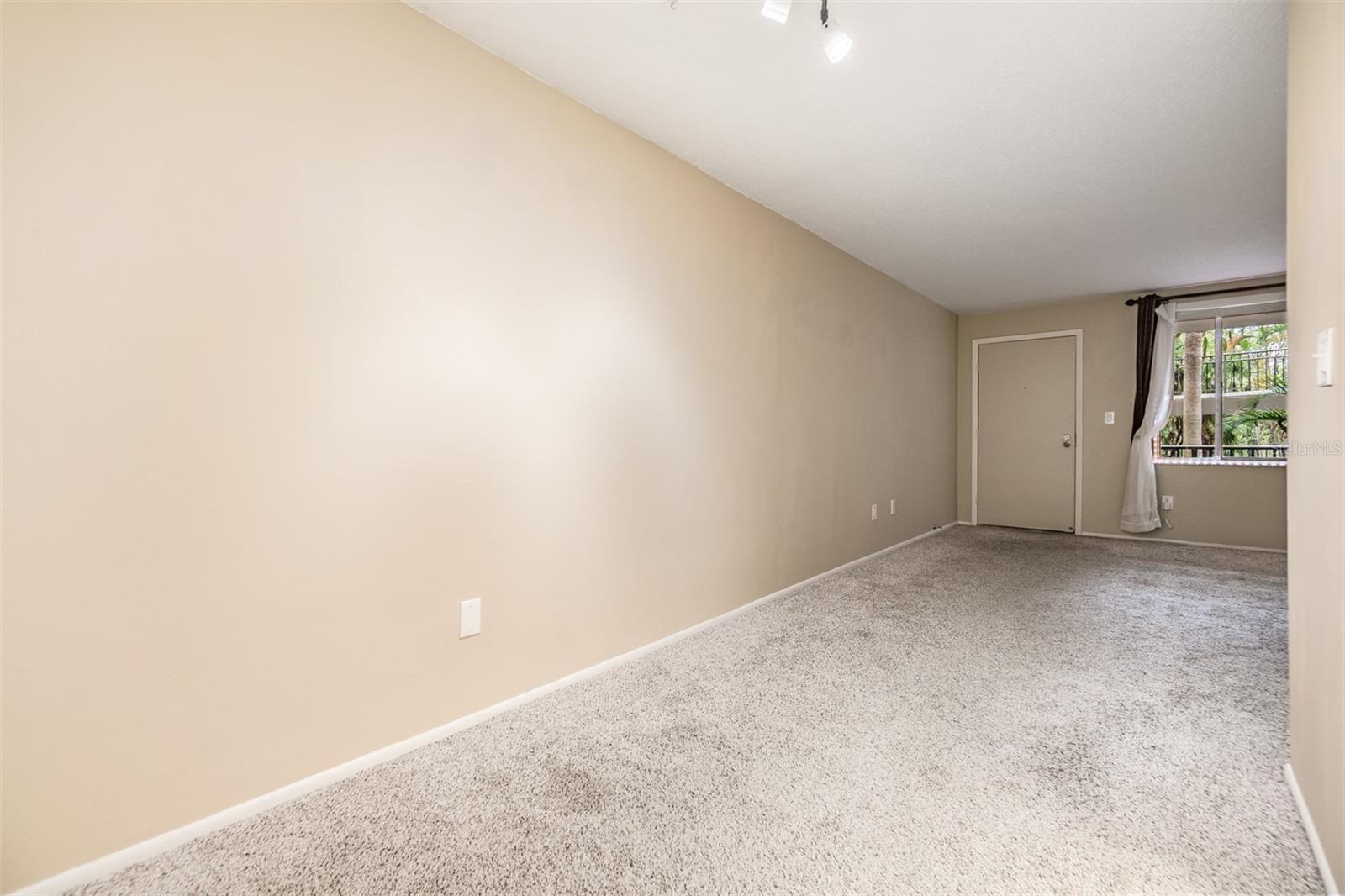 Dining Room / Entry Door.