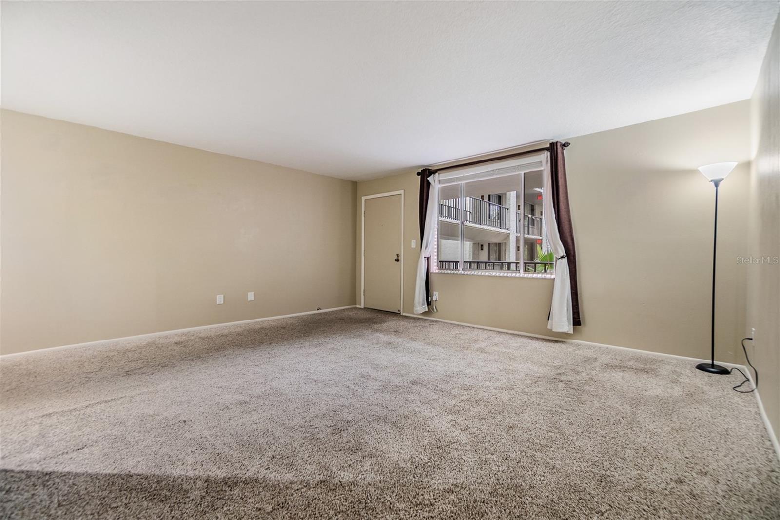 Living Room / Entry Door.