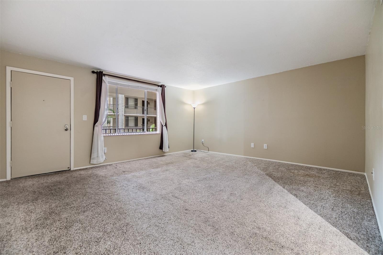 Living Room / Entry Door.