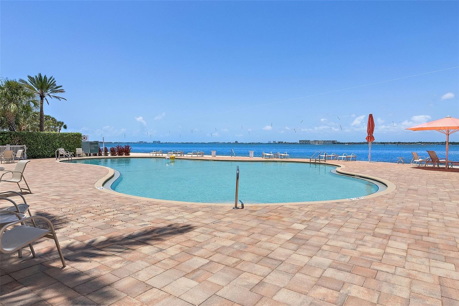 Community pool, touching the bay