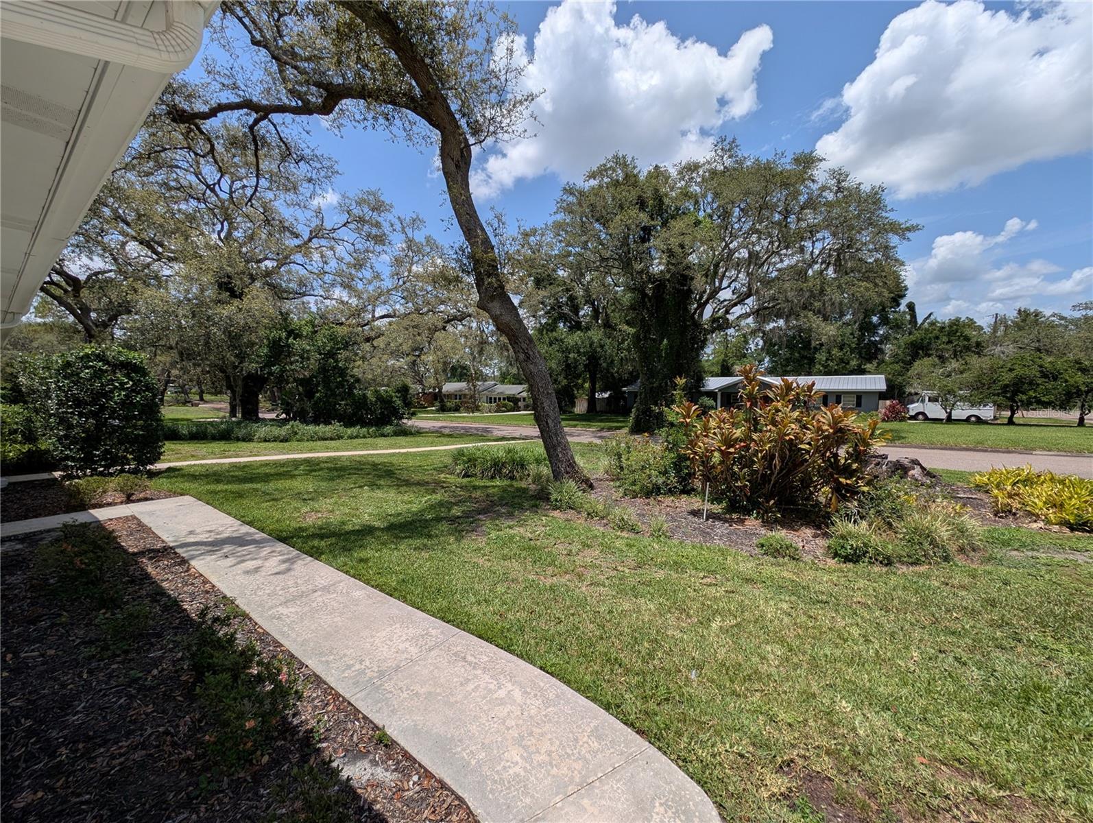 Front Yard