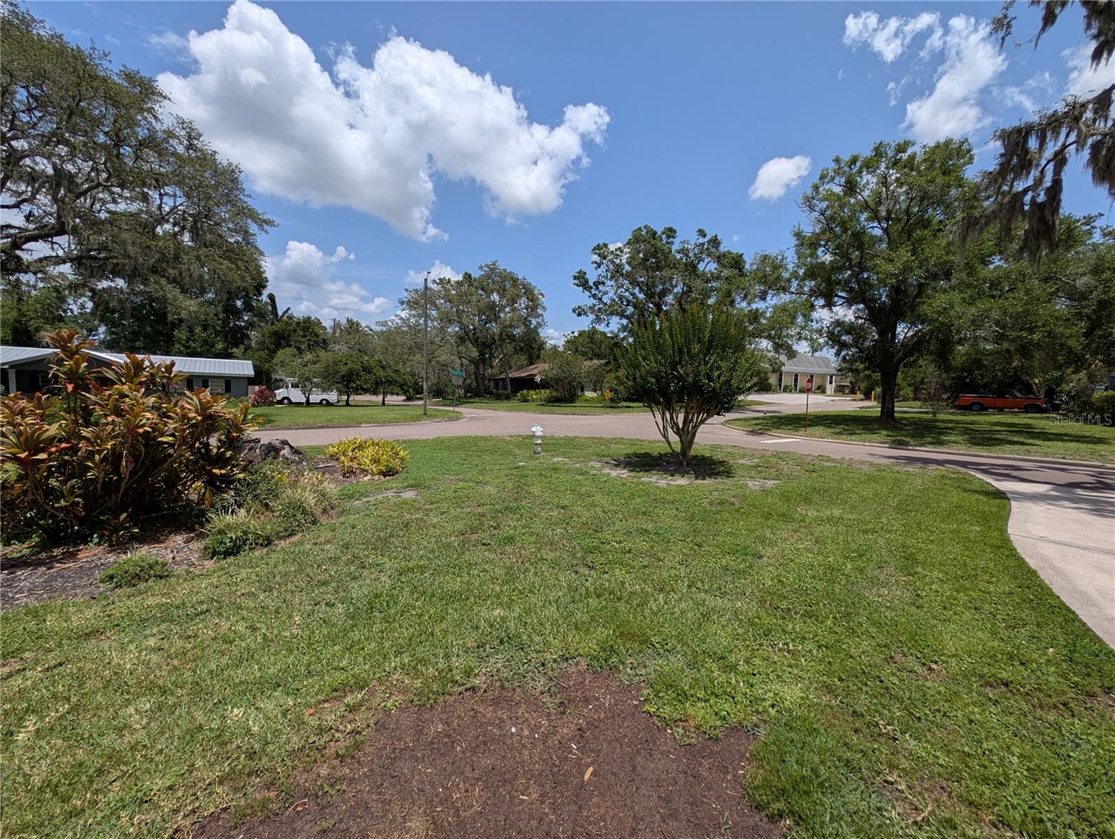 Front Yard