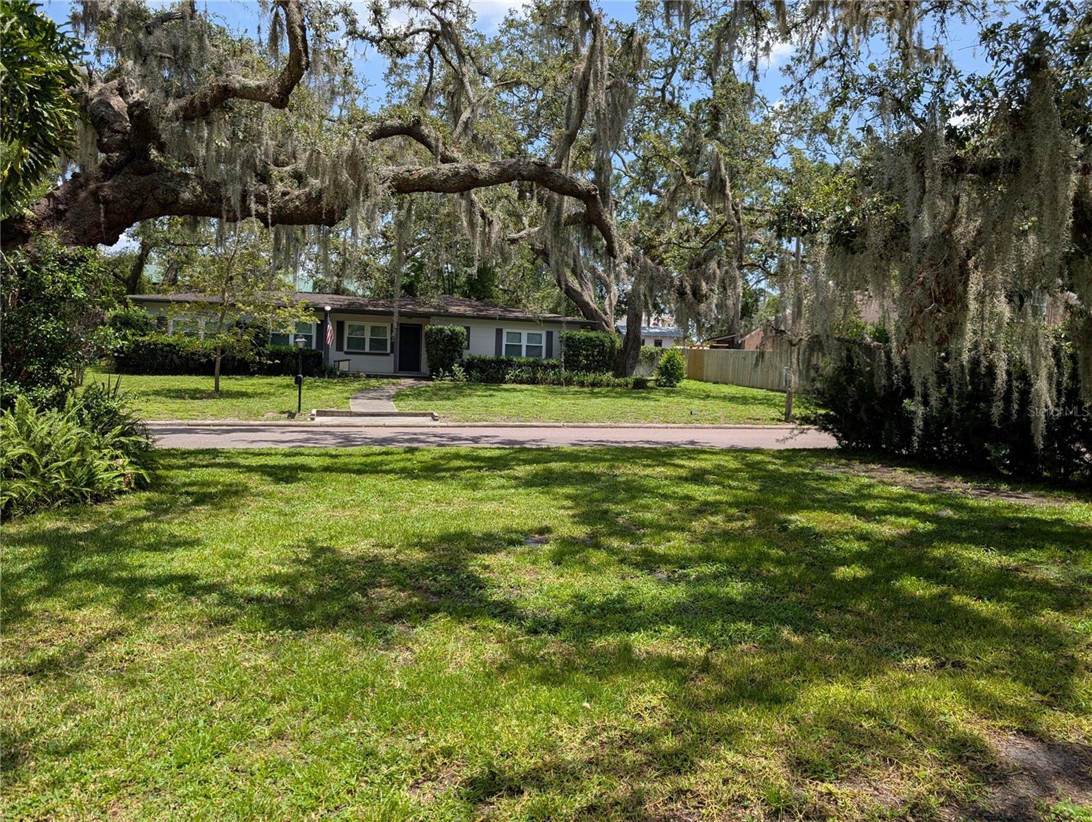 Front Yard