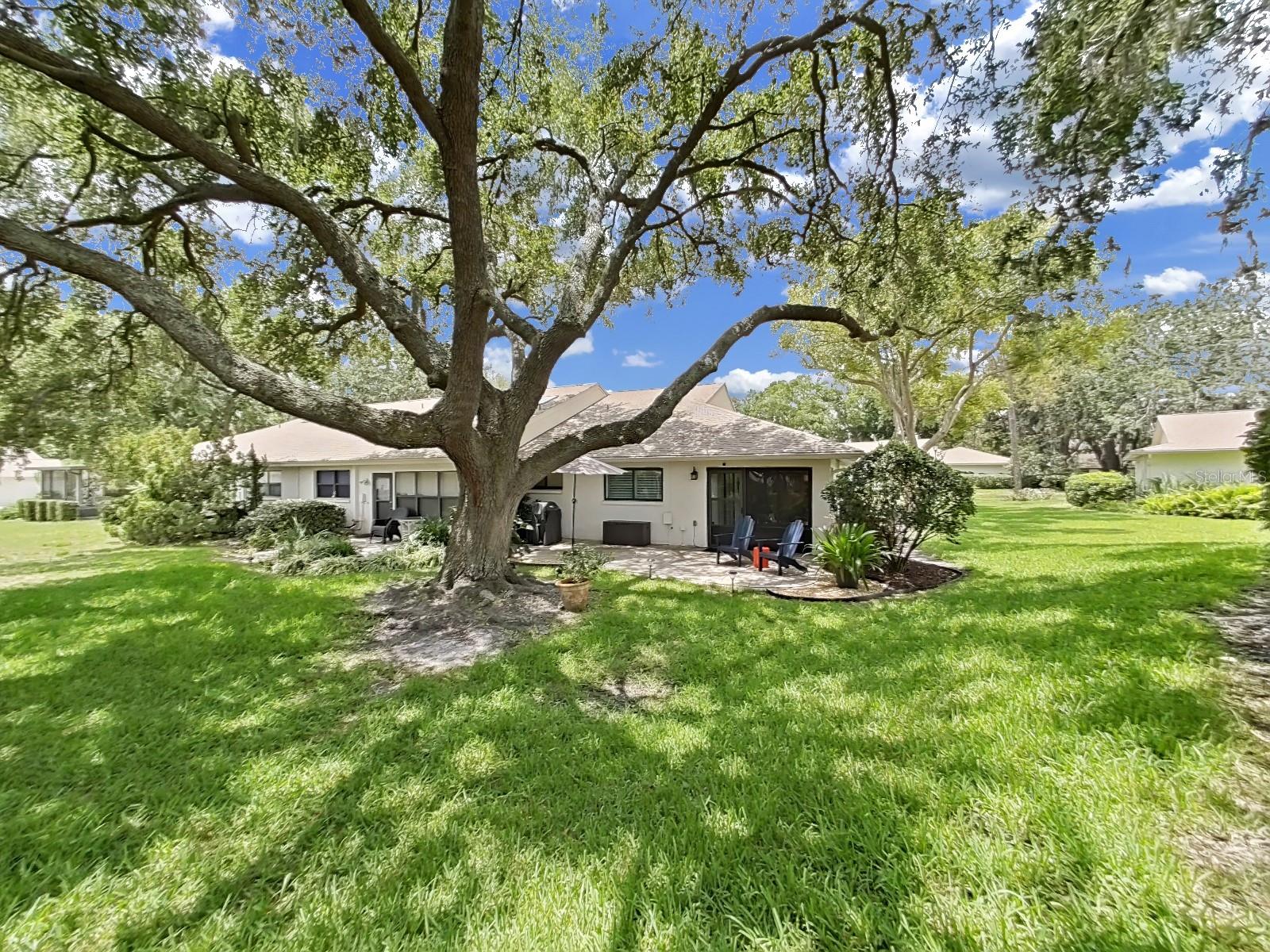 Backyard and rear of home.