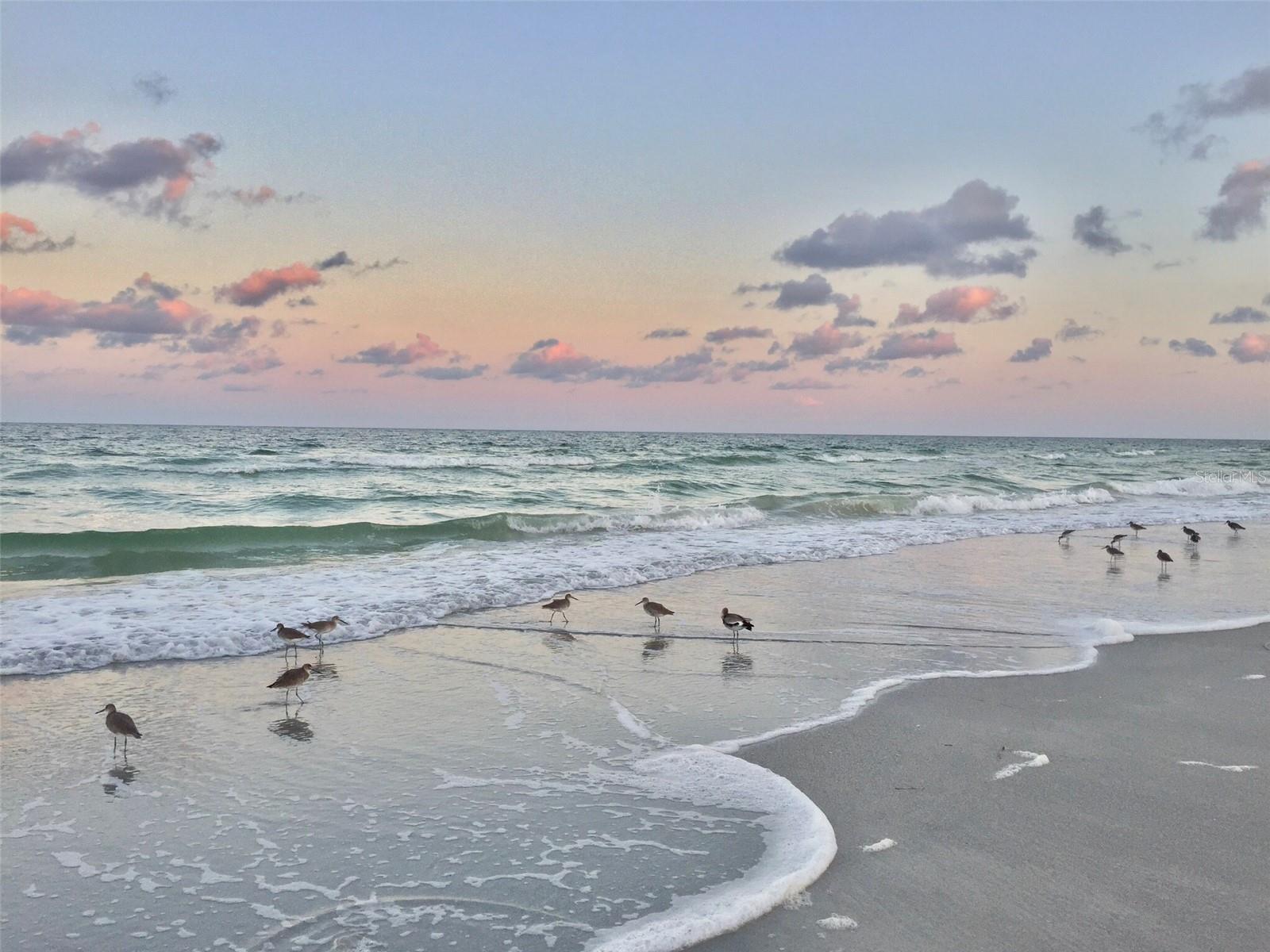 Endless Beach Days