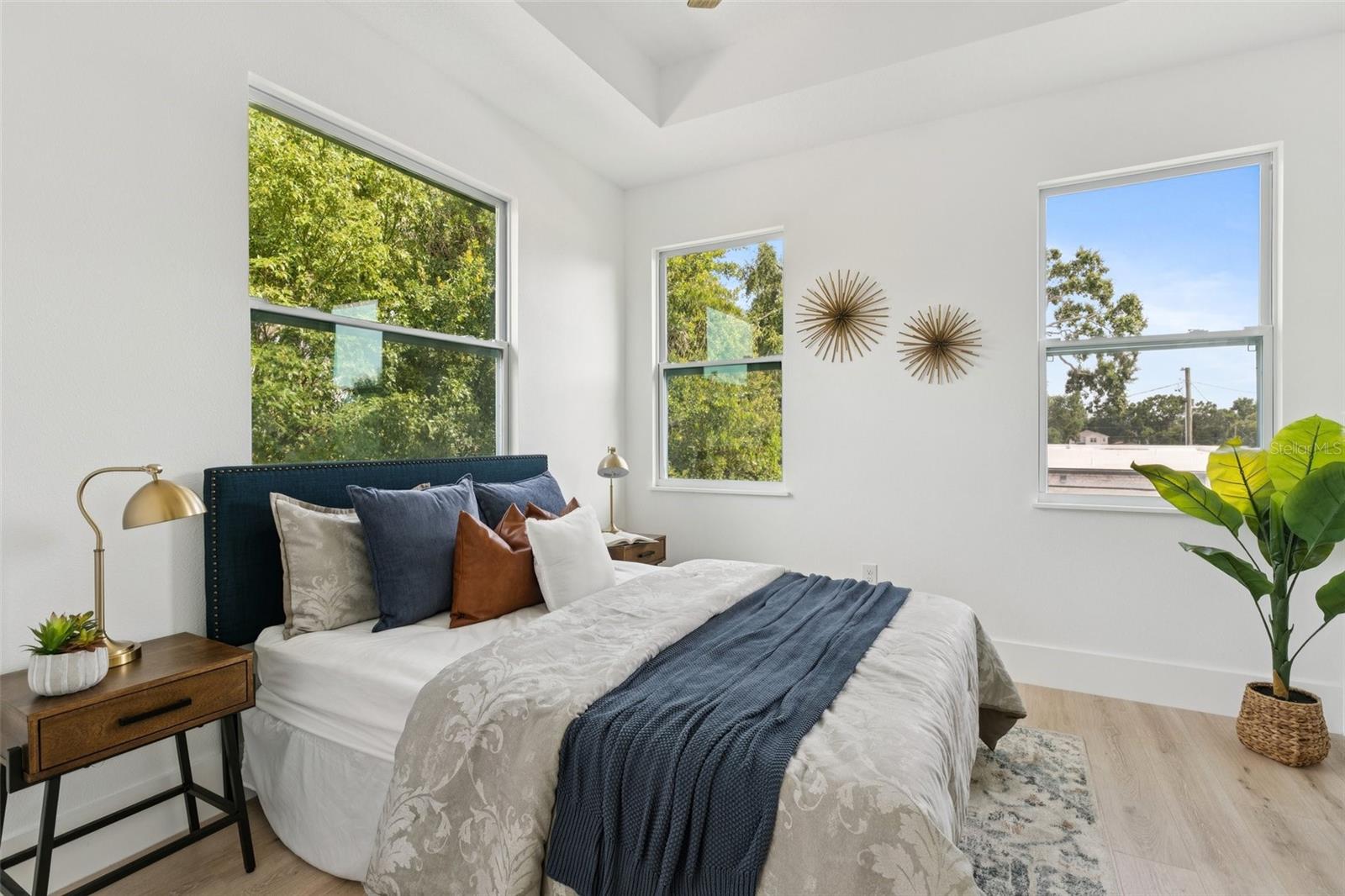 primary suite w/ tray ceilings