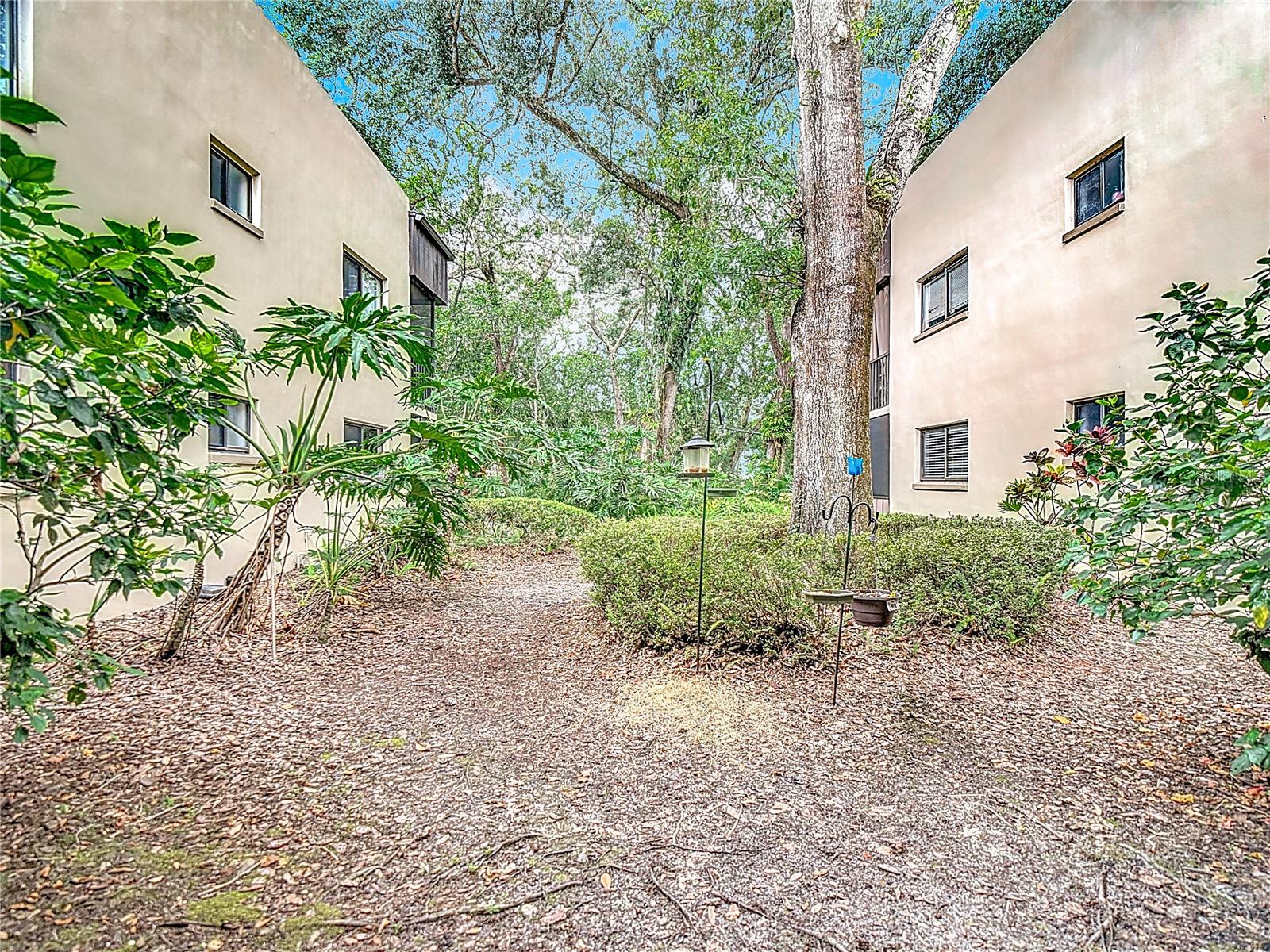 Court Yard outside front door