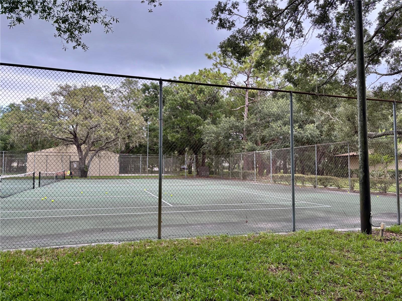 Tennis Court