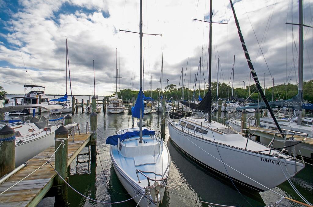 Safety Harbor Marina!