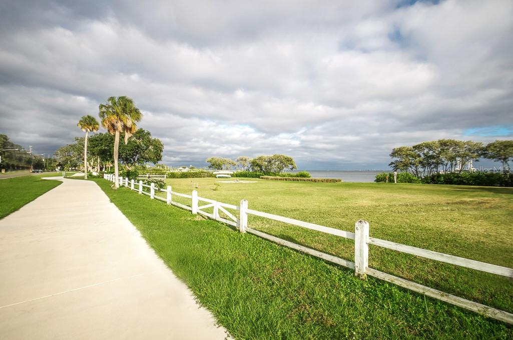 Safety Harbor Bike Path!