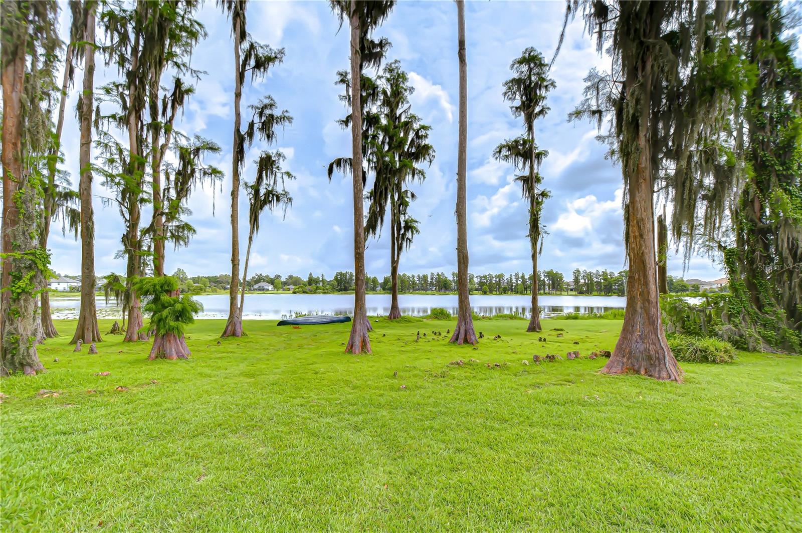 Enjoy this stunning view & the peaceful wildlife that comes with it!