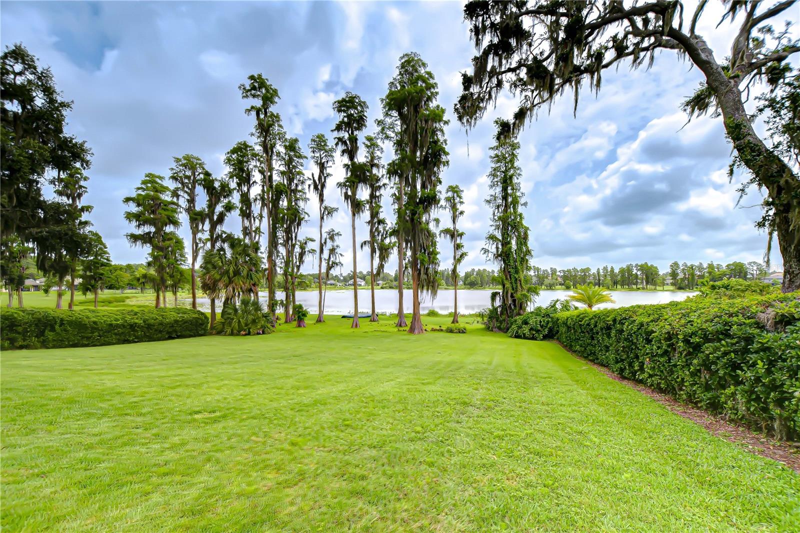 Listen to the birds and sip your morning coffee, this view is impeccable!