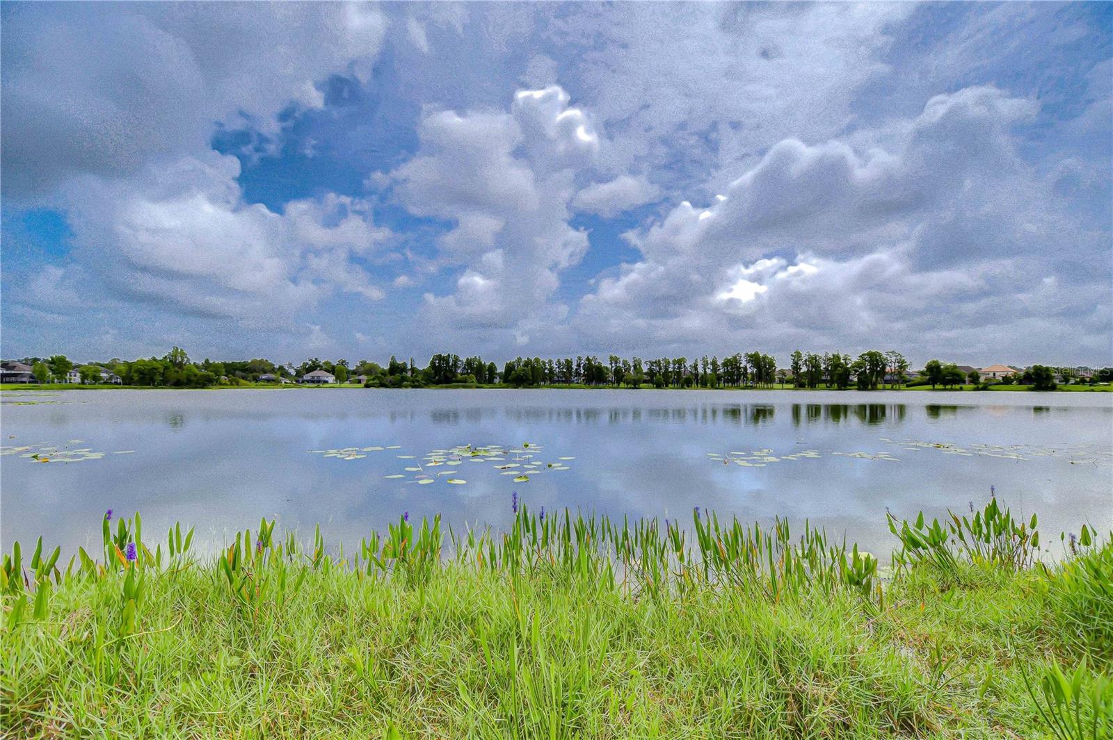 Tranquility at its finest!