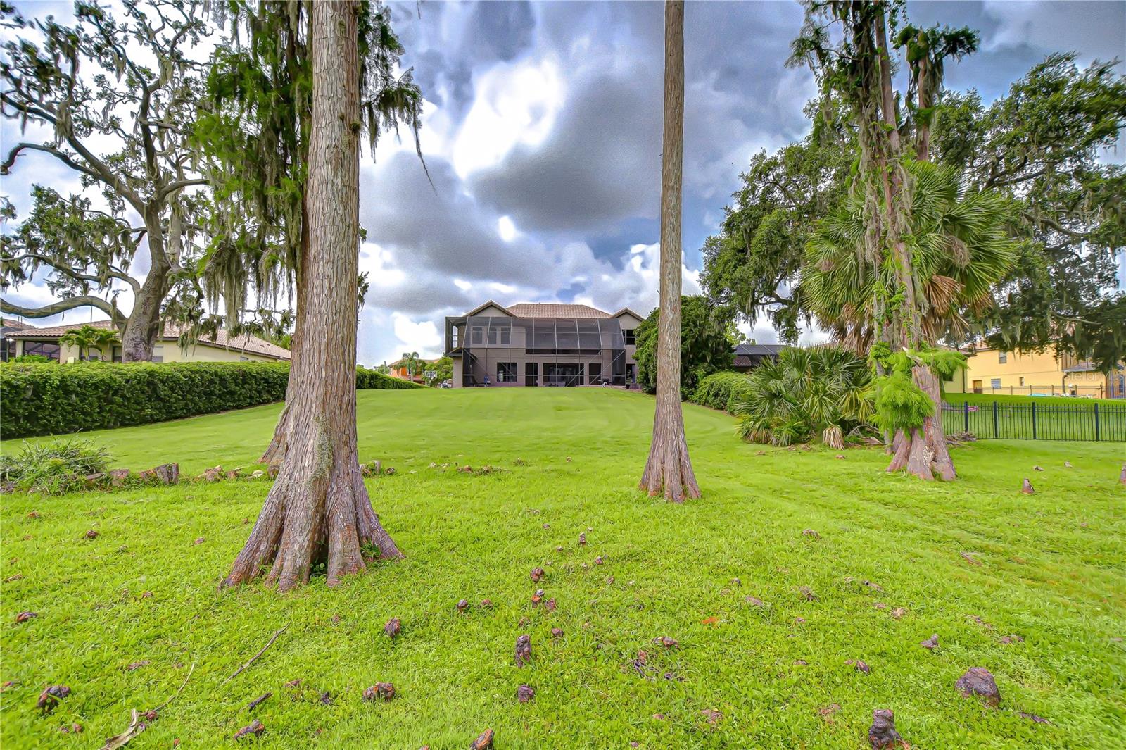 Look at this sprawling backyard!
