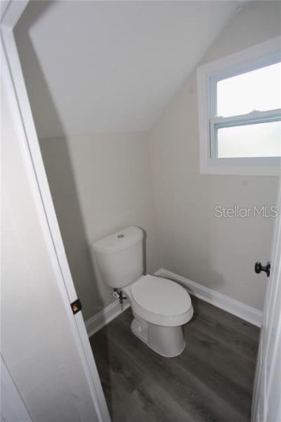 GC531519