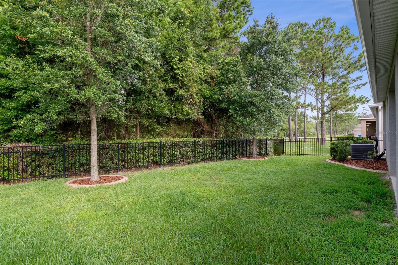 Fenced Back Yard