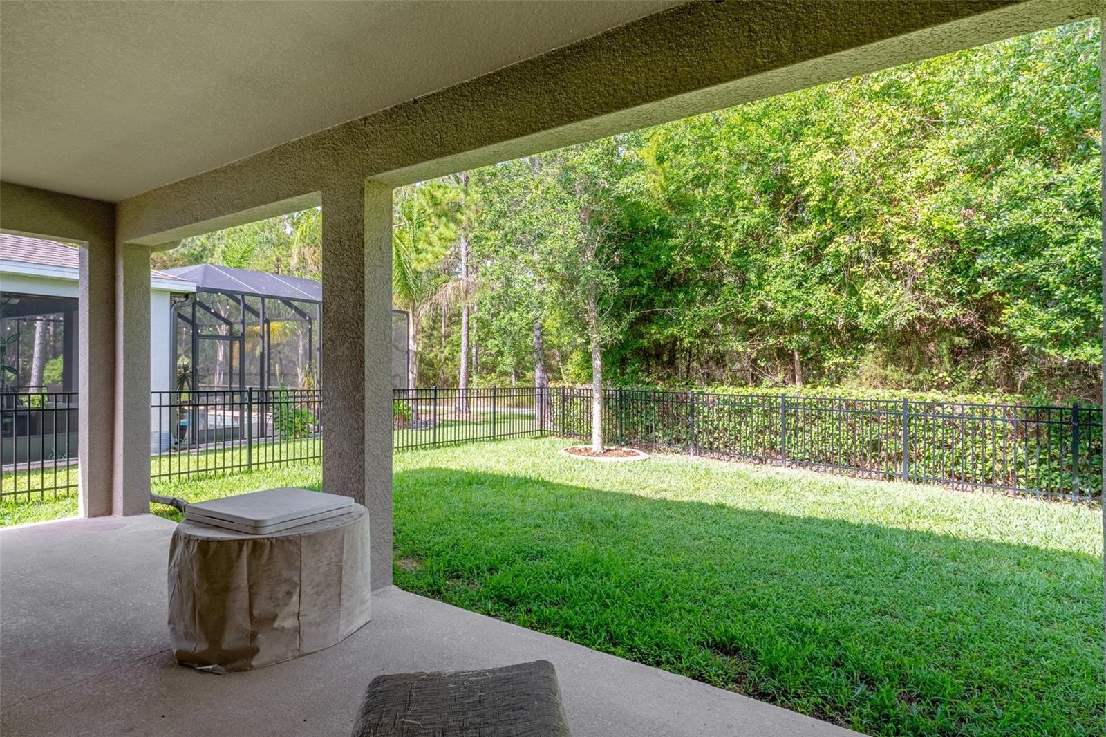Lanai/Fenced Back Yard