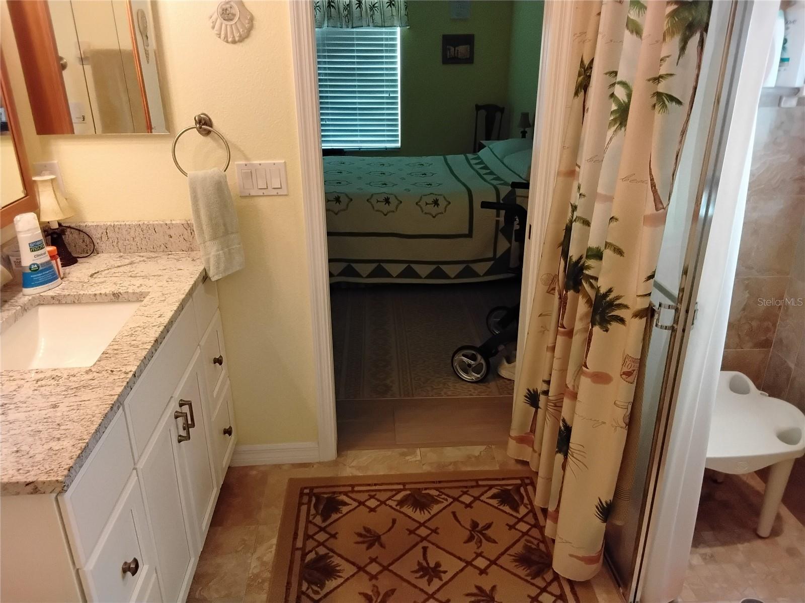 Master bathroom,  walk in shower