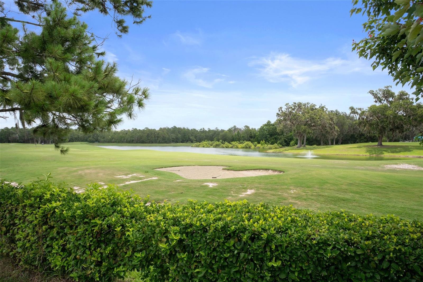 Golf course/Pond