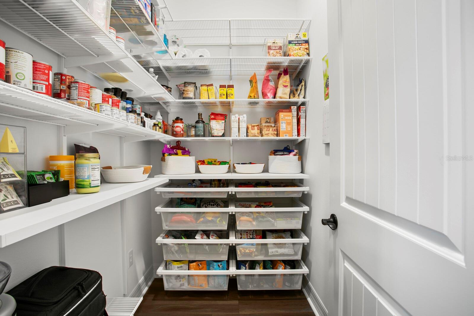 Kitchen pantry with custom built-ins