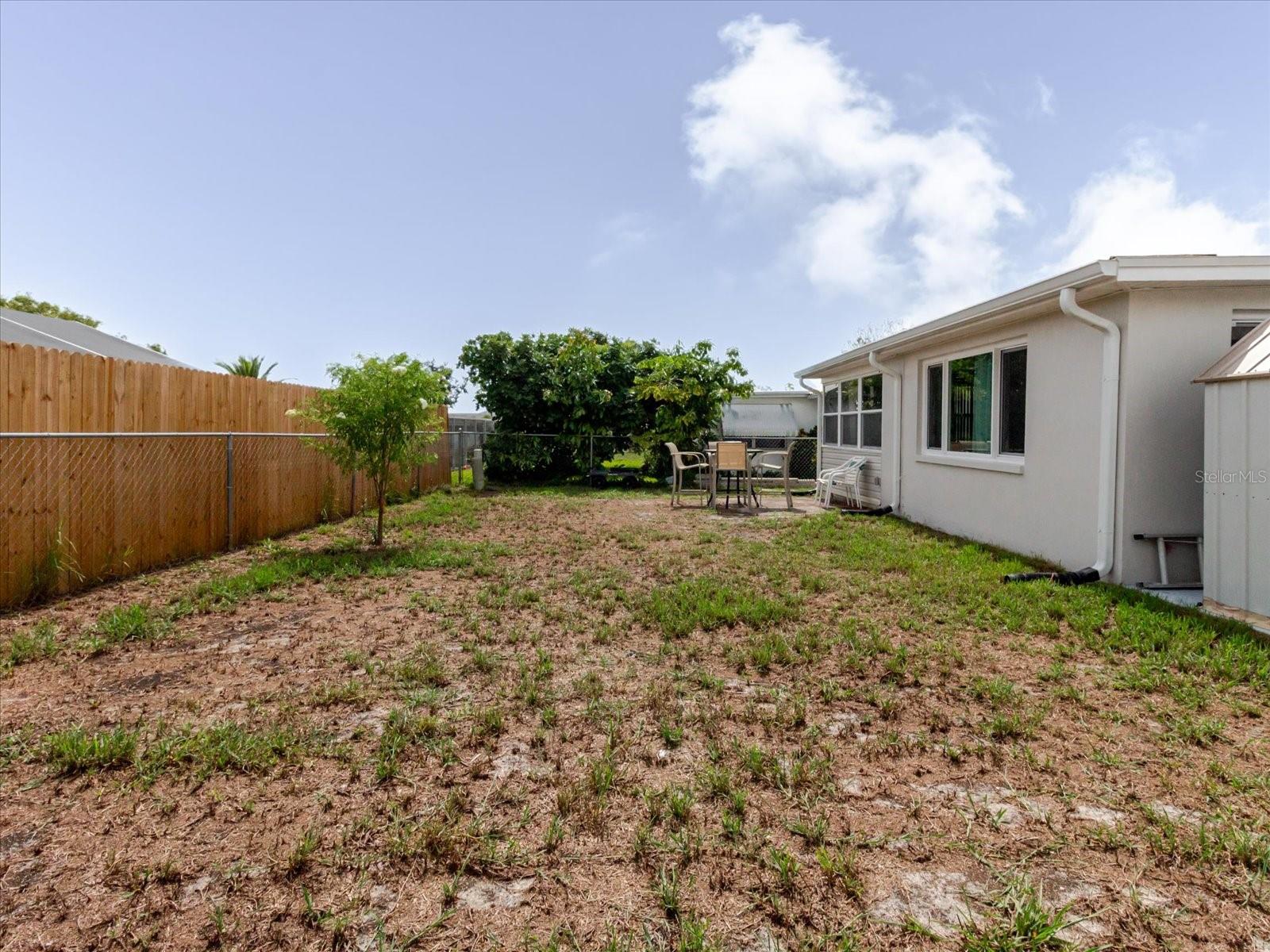 Backyard