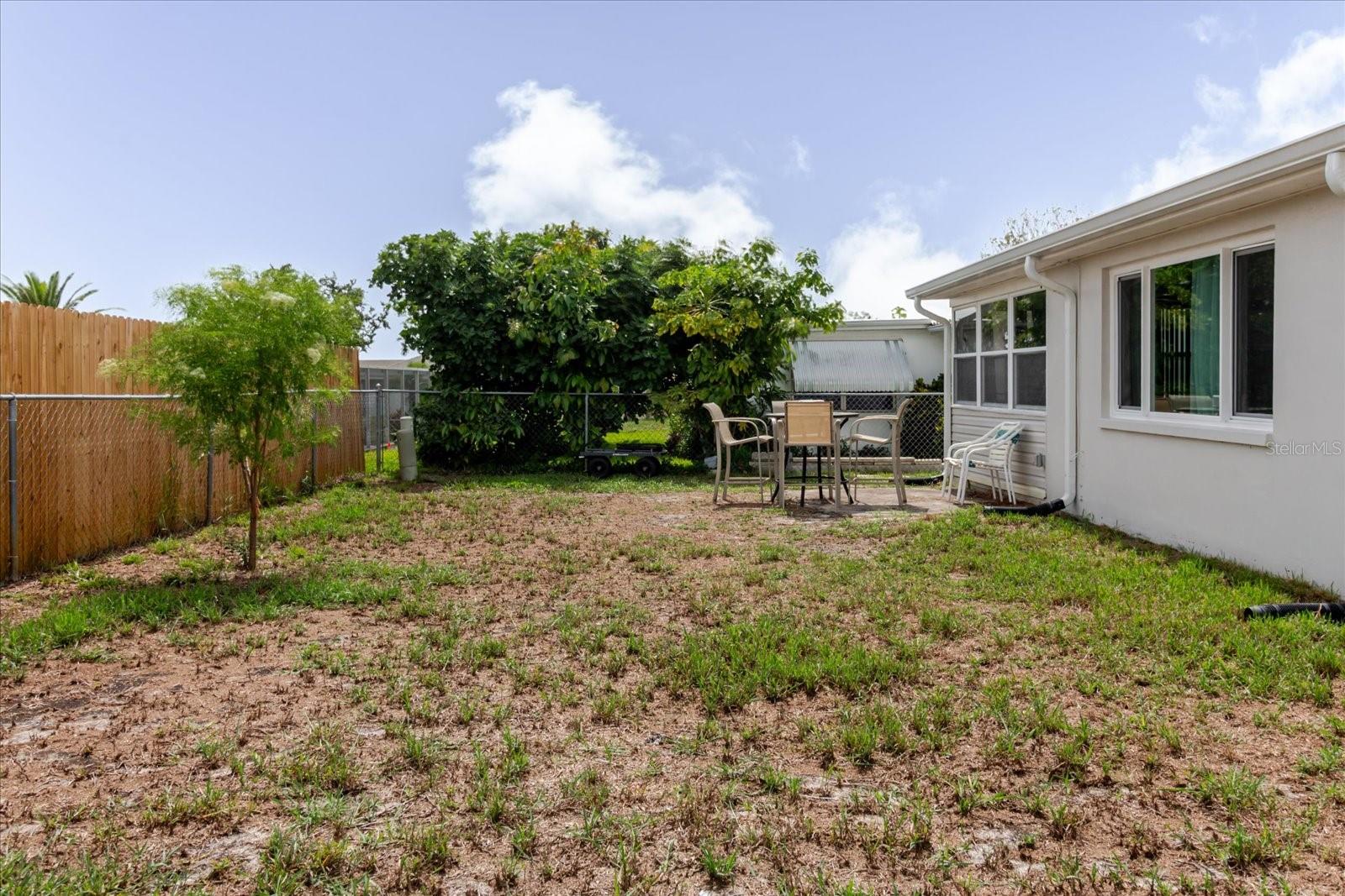 Backyard