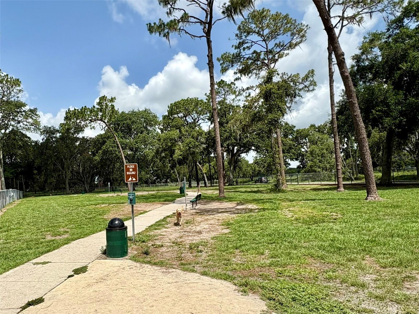 Local dog park with dog washing station